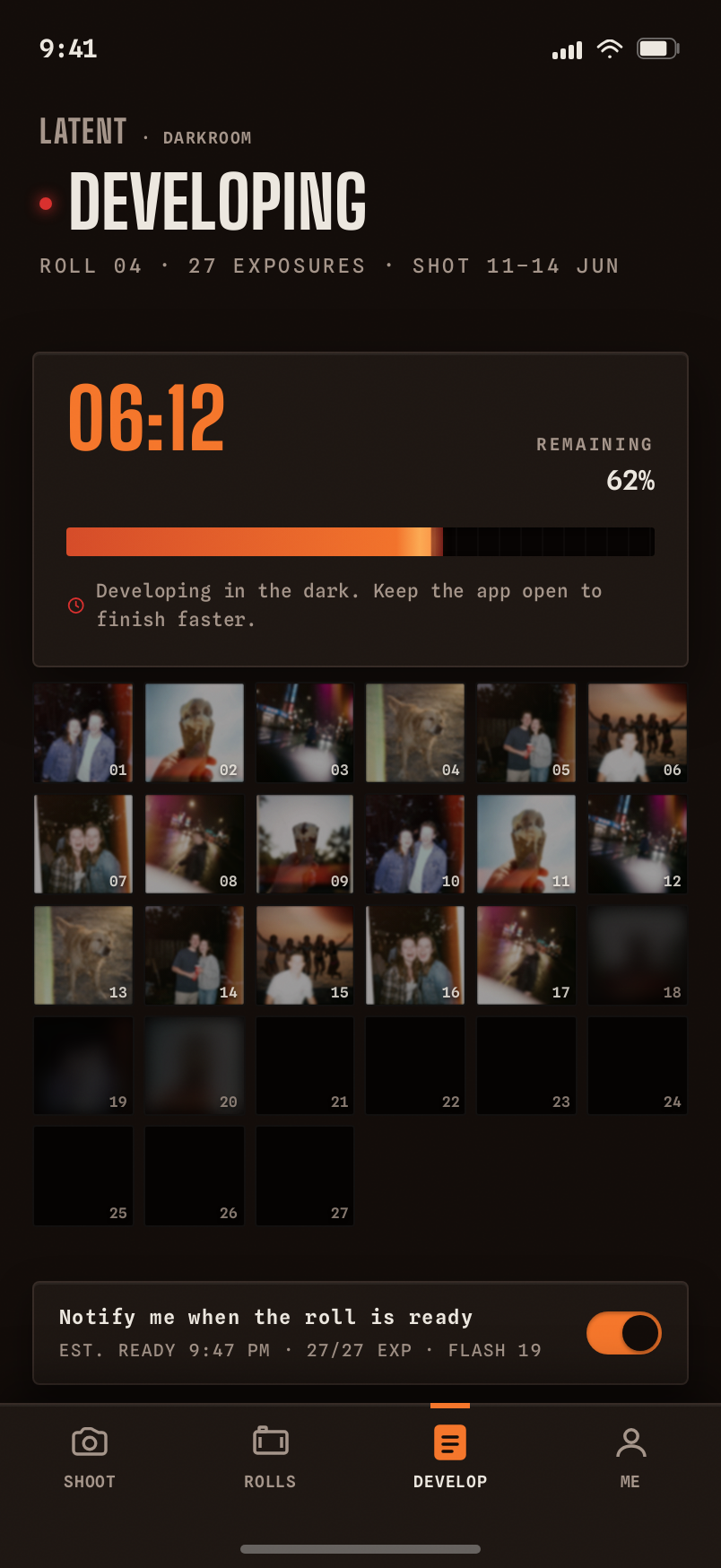 Developing screen