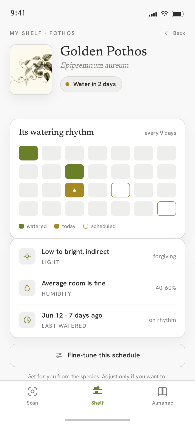 Rhythm screen