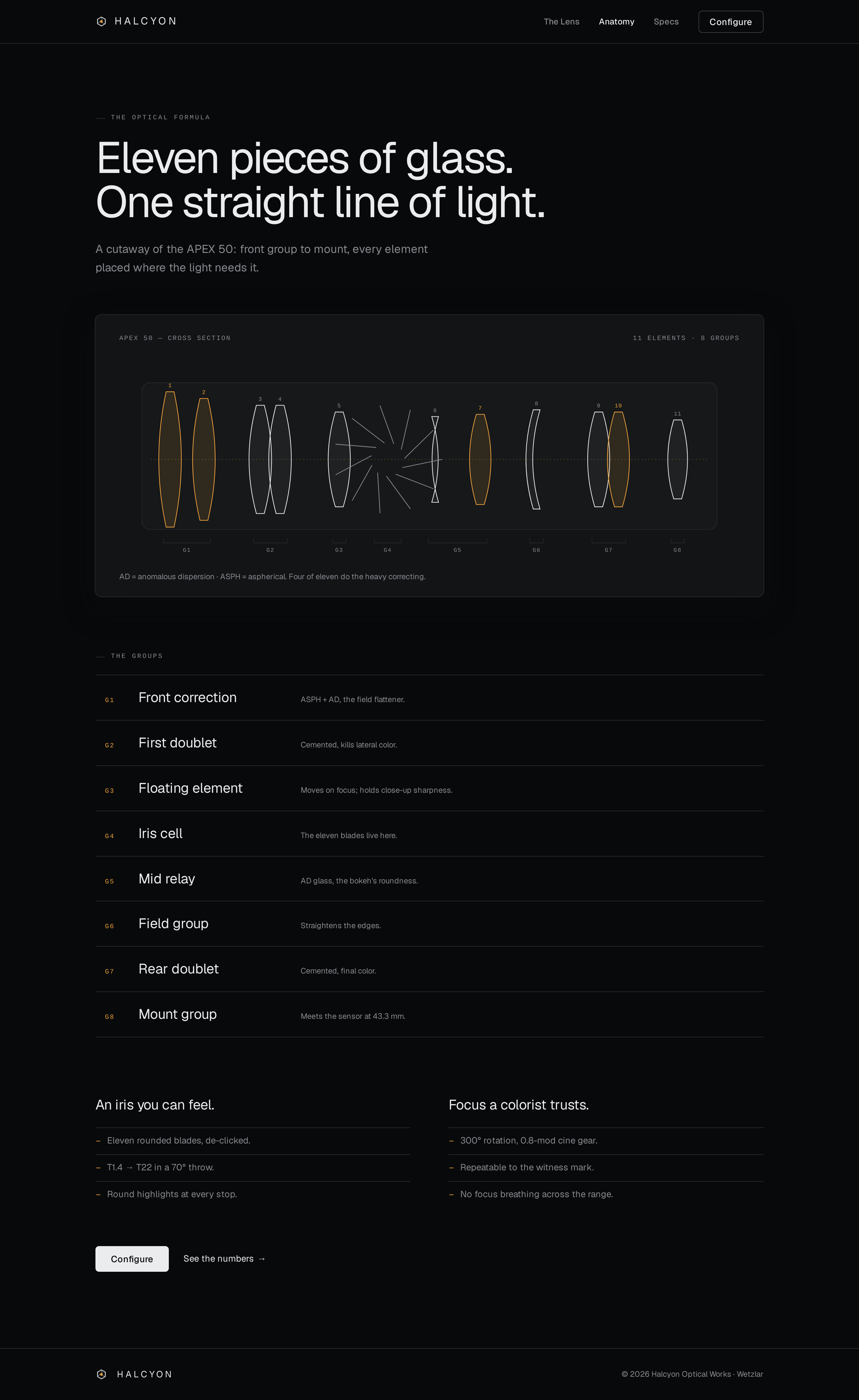 Anatomy screen